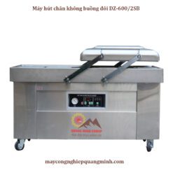 Máy hút chân không buồng đôi DZ-600/SB