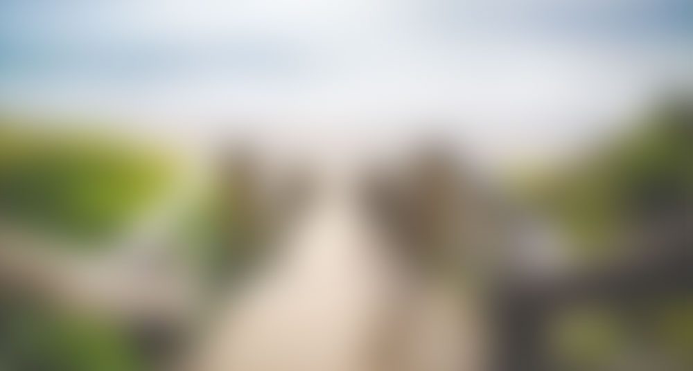 Trang Chủ 83 unsplash32 1 of 1