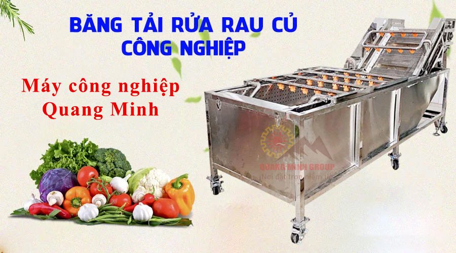 Máy rửa rau củ công nghiệp băng tải tự động Máy rửa rau củ công nghiệp băng tải tự động