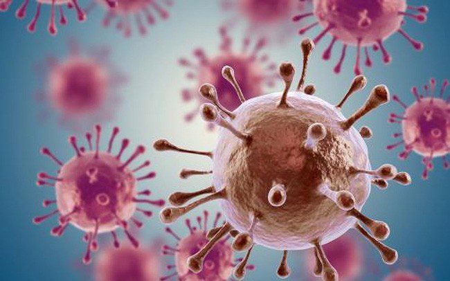 Hoạt chất Proanthocyanidins ngăn ngừa tế bào ung thư