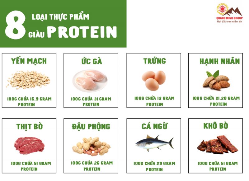 Các thực phẩm giàu Protein tốt cho sức khoẻ Các thực phẩm giàu Protein tốt cho sức khoẻ