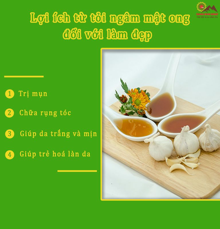 Tác dụng của tỏi ngâm mật ong đối với làm đẹp Tác dụng của tỏi ngâm mật ong đối với làm đẹp