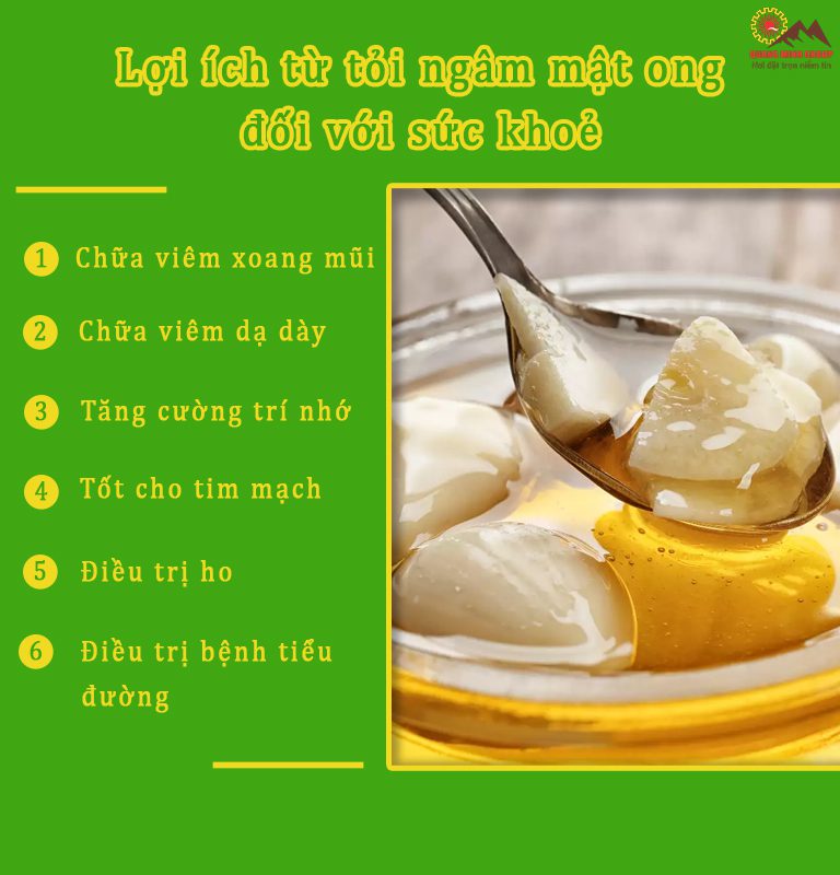 Tác dụng của tỏi ngâm mật ong đối với sức khoẻ Tác dụng của tỏi ngâm mật ong đối với sức khoẻ