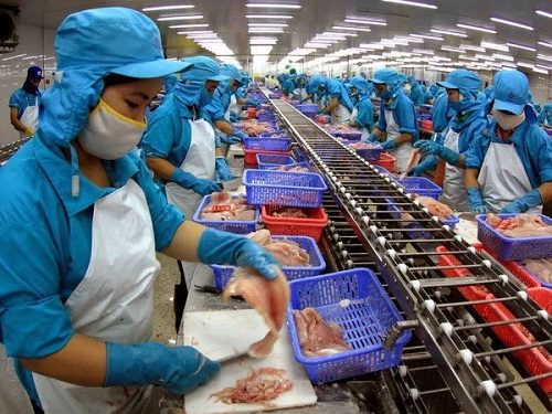 Ngành cao su Việt Nam có còn tiềm năng phát triển? 3 Cao su trong nền công nghiệp thực phẩm
