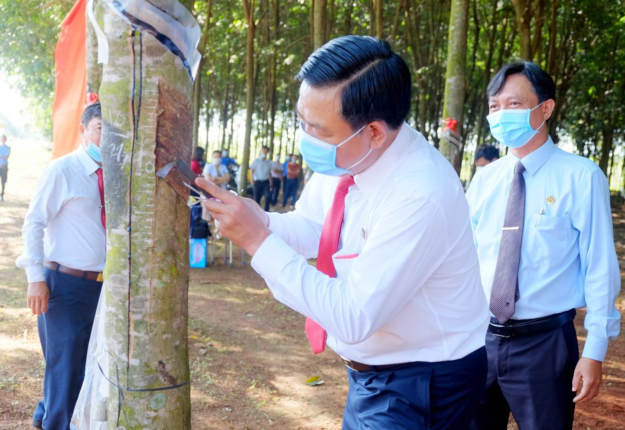 Ngành cao su Việt Nam có còn tiềm năng phát triển? 6 Thị trường Việt Nam