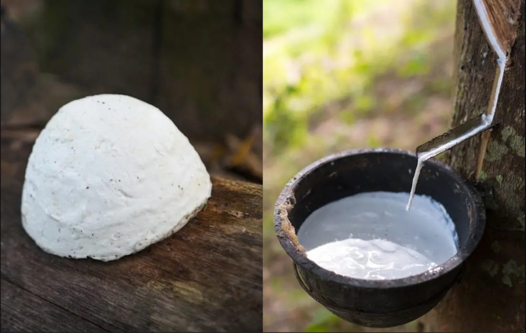 Ngành cao su Việt Nam có còn tiềm năng phát triển? 1 cao su tự nhiên