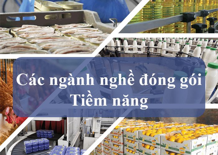 Các ngành nghề đóng gói tiềm năng gồm nông sản và đồ ăn nhanh