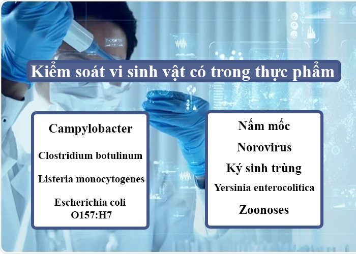 Kiểm soát vi sinh vật có trong kiểm soát chất lượng thực phẩm