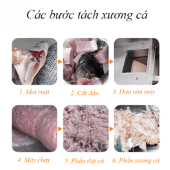 Các bước tách xương cá bằng máy tách xương cá tự động