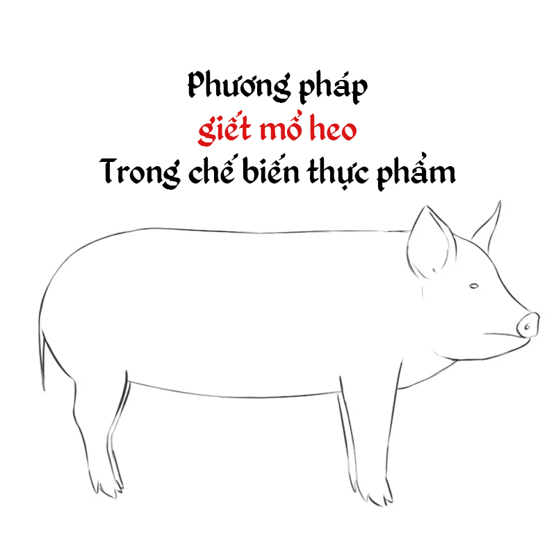 Quy trình giết mổ lợn công nghiệp trong chế biến sản xuất thực phẩm