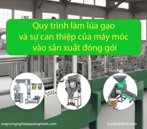 Quy trình làm lúa gạo và sự can thiệp của máy móc vào sản xuất đóng gói